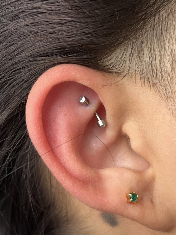 Rook